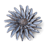 Grey Gerbera Daisy