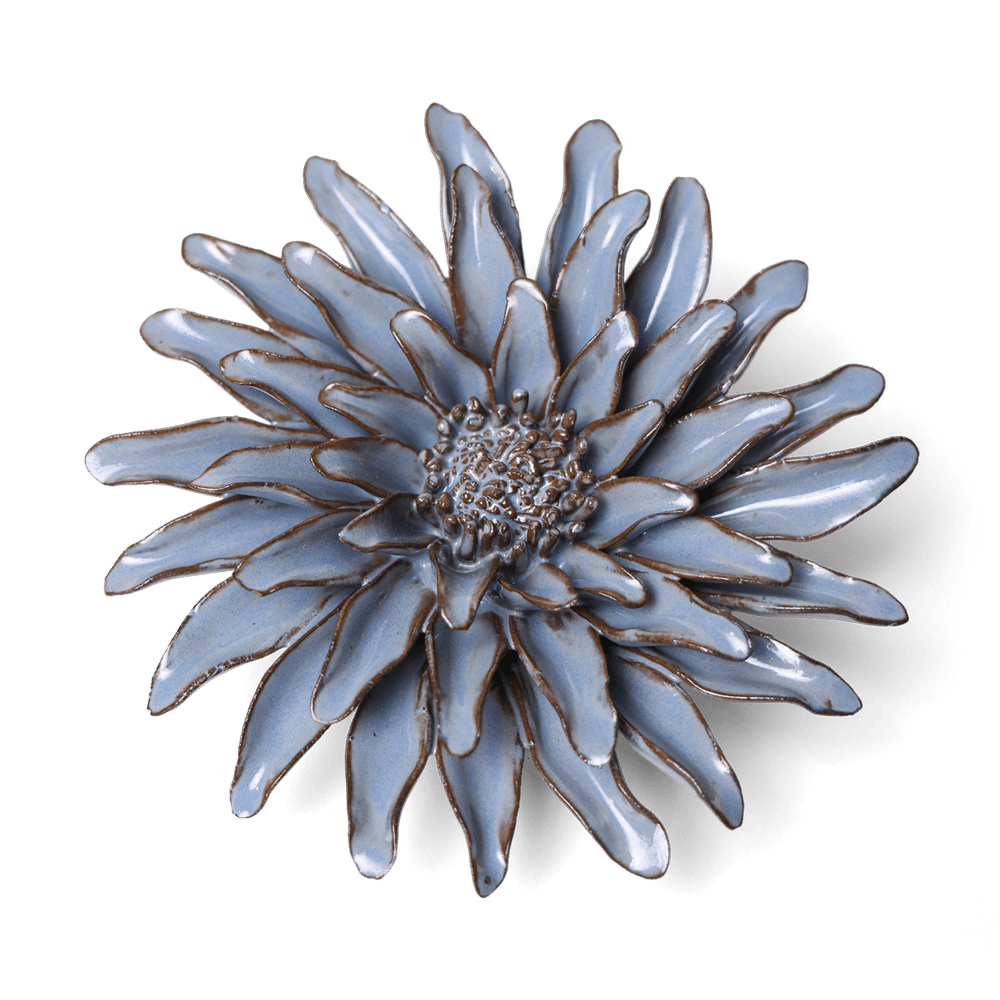 Grey Gerbera Daisy