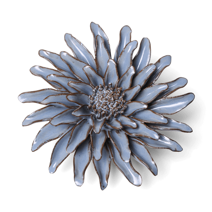 Grey Gerbera Daisy