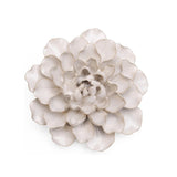 White Water Lily