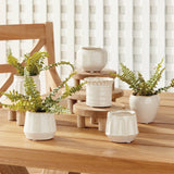 Dezie Mini Pots