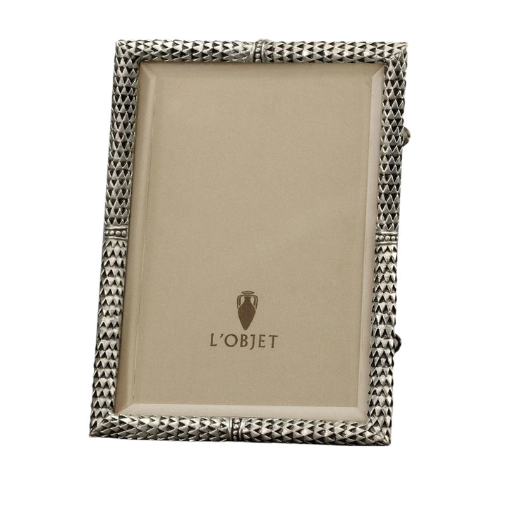 Scales Platinum Frame 8x10