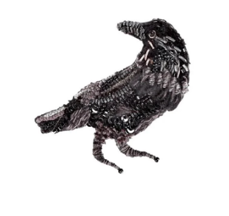 Brooch Raven