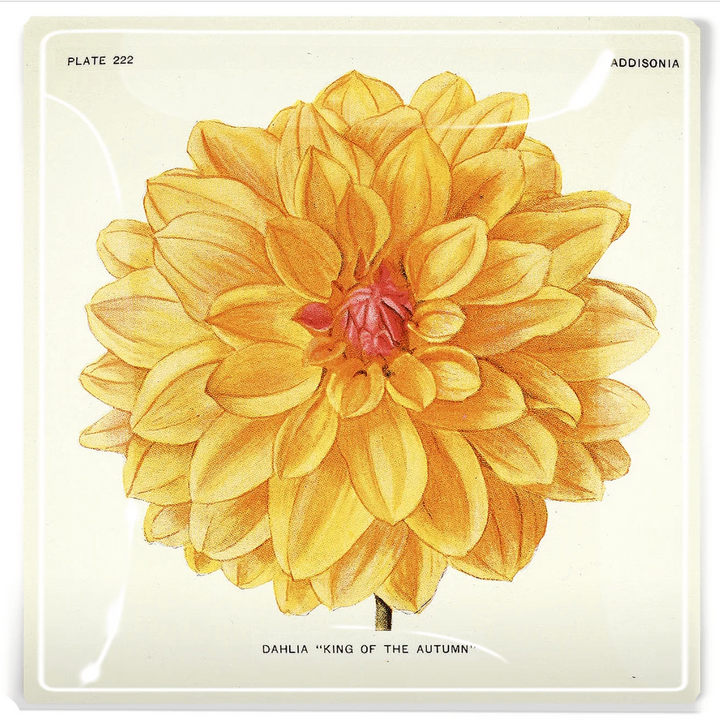 Decoupage Tray Orange King Dahlia