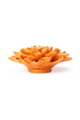 Orange Autumn Azalea