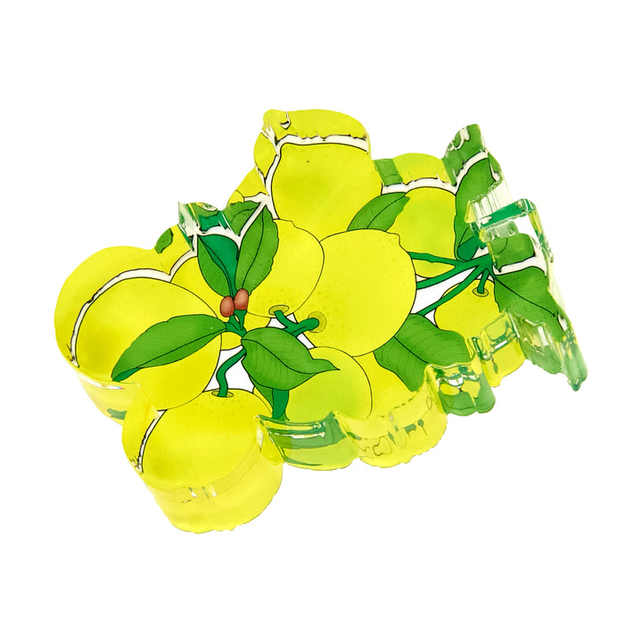 Paper Weight Lemon