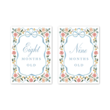 Baby Milestone Cards Cottagecore Floral