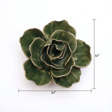Ranunculus Green