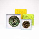 Dark Green Flower