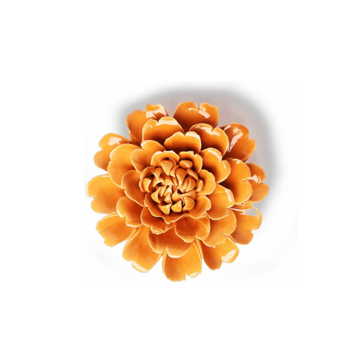 Orange Marigold