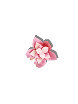 Claw Magnolia Flower Cream