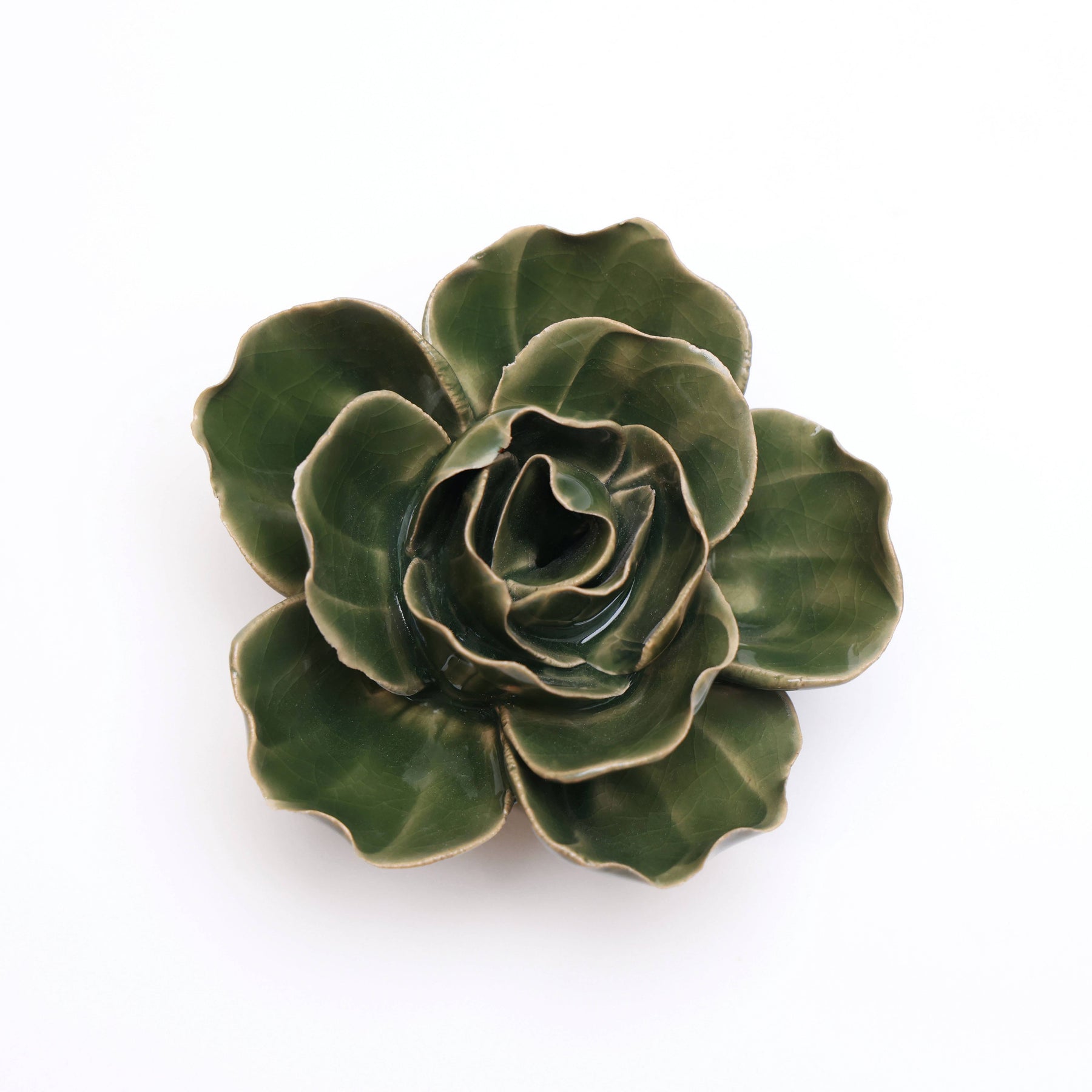 Ranunculus Green
