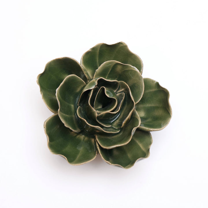 Ranunculus Green
