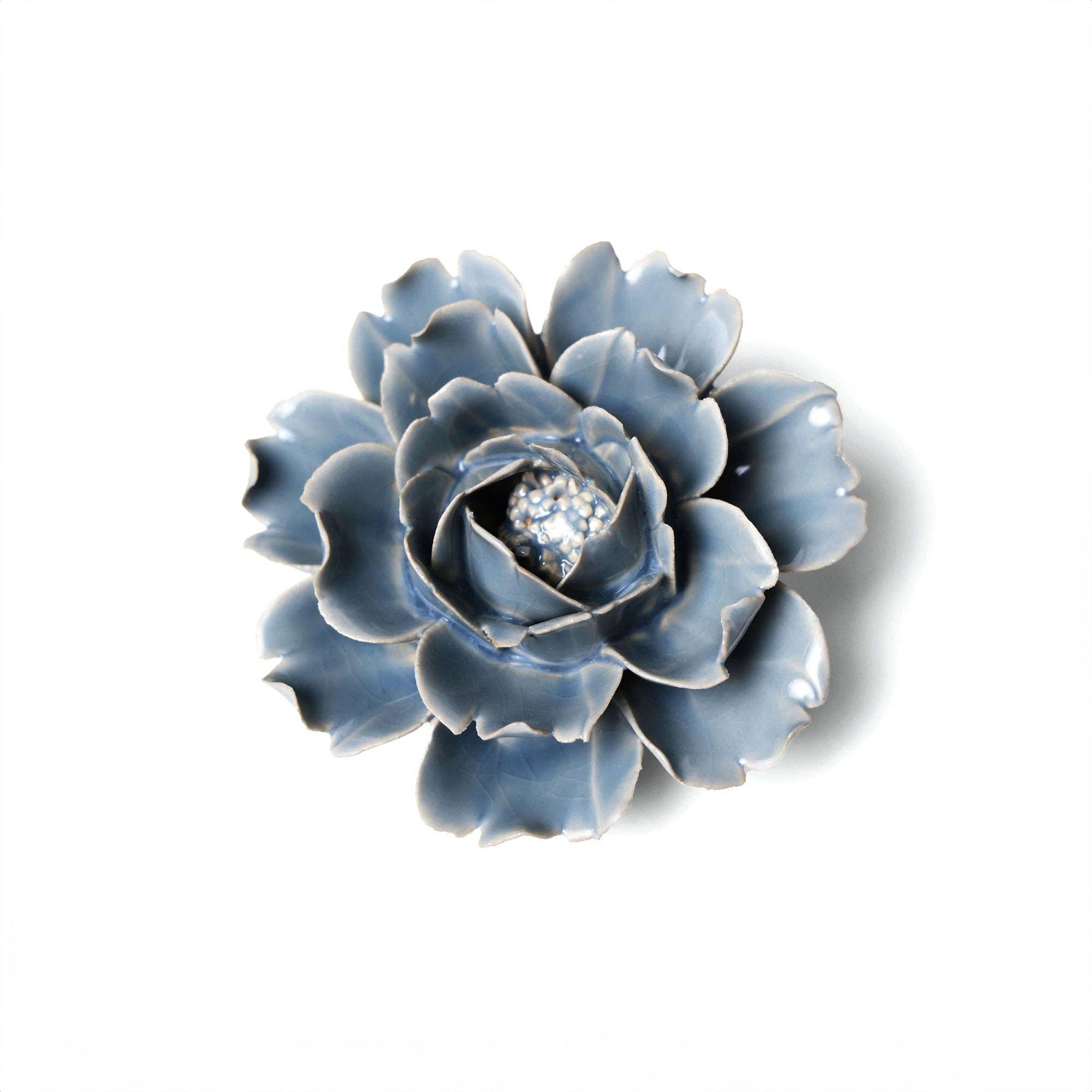 Blue Rose
