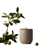 Candle Neroli Leaf
