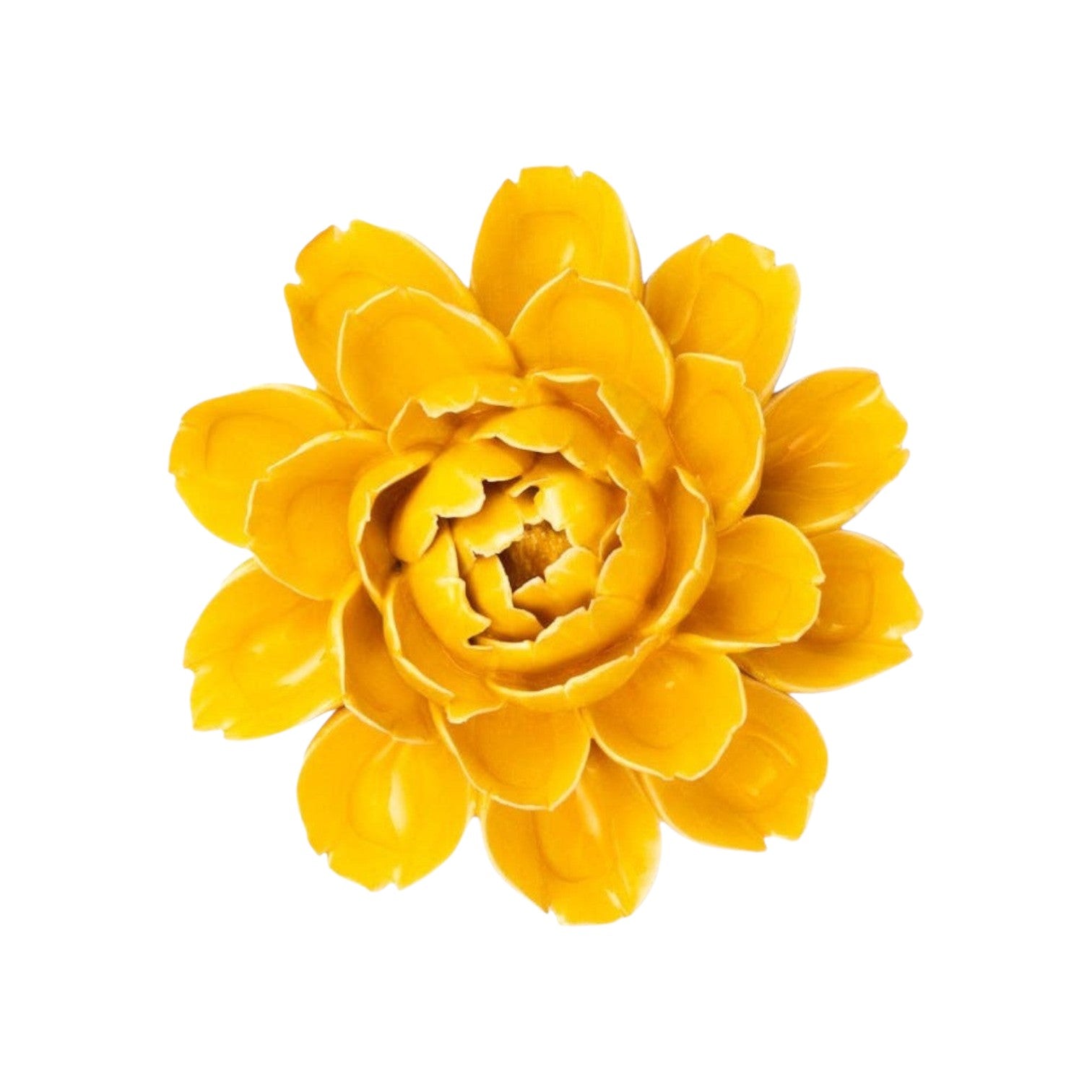 Yellow Cabbage Flower