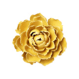 Yellow Paree Peony