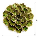 Green Petunia