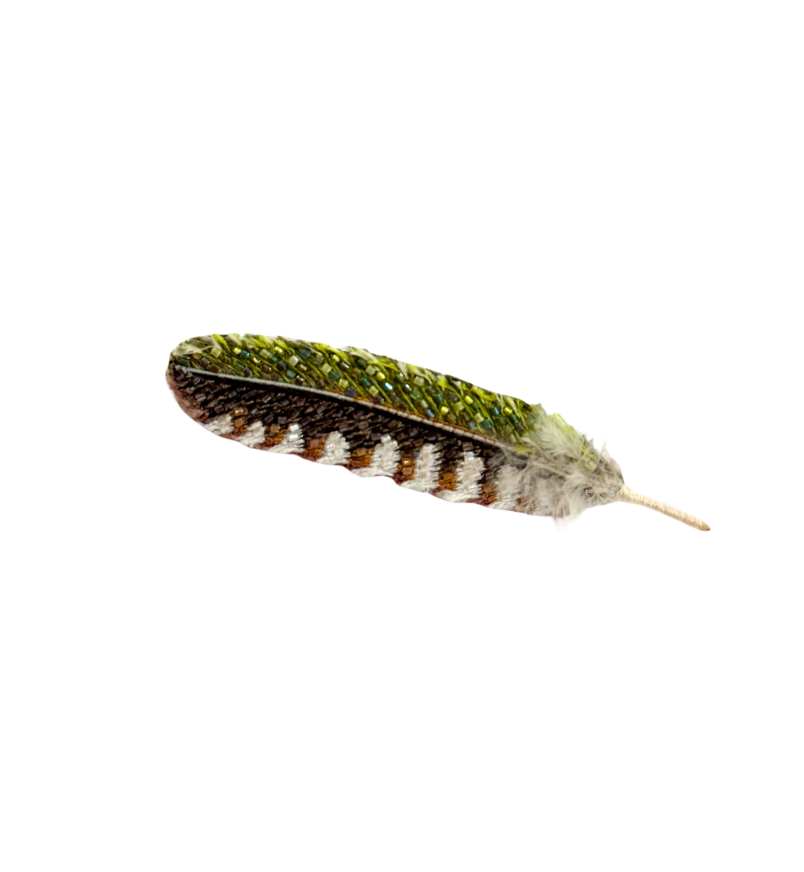 Brooch Woodpecker Feather