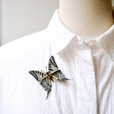 Brooch Scare Swallowtail