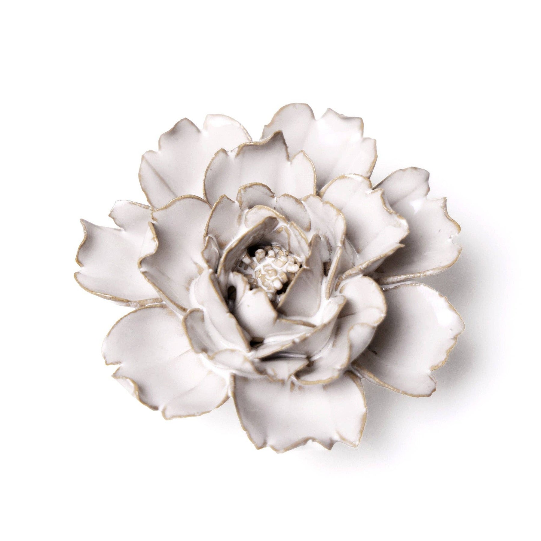 Ivory Rose
