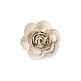Ivory English Rose