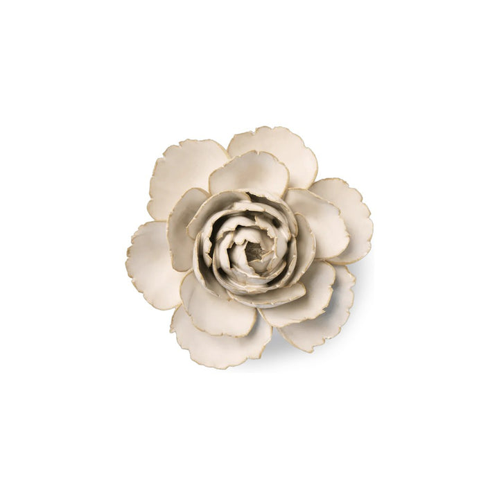 Ivory English Rose