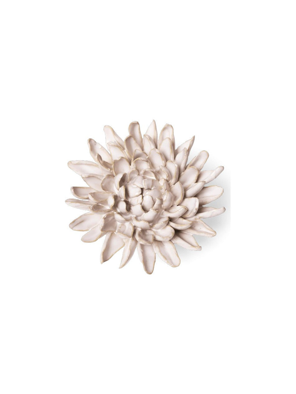 Ivory Chrysanthemum