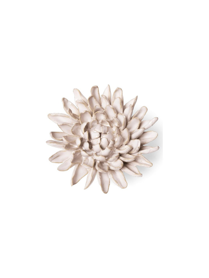 Ivory Chrysanthemum