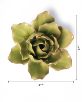 Peridot Stargazer Lily
