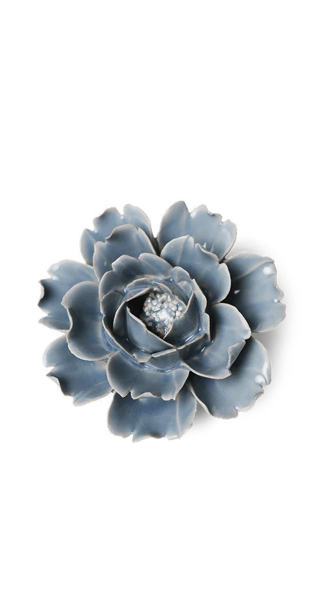 Pale Blue English Rose