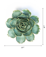 Milk Teal Ceramic Camellia