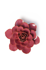 Pink Begonia