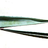 Agave Linen Spray