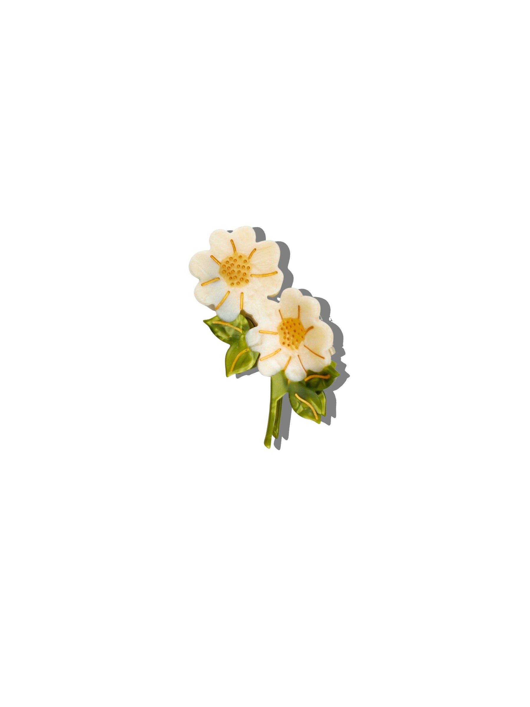 Claw Daisy Stem