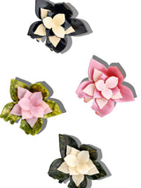 Claw Magnolia Flower Cream