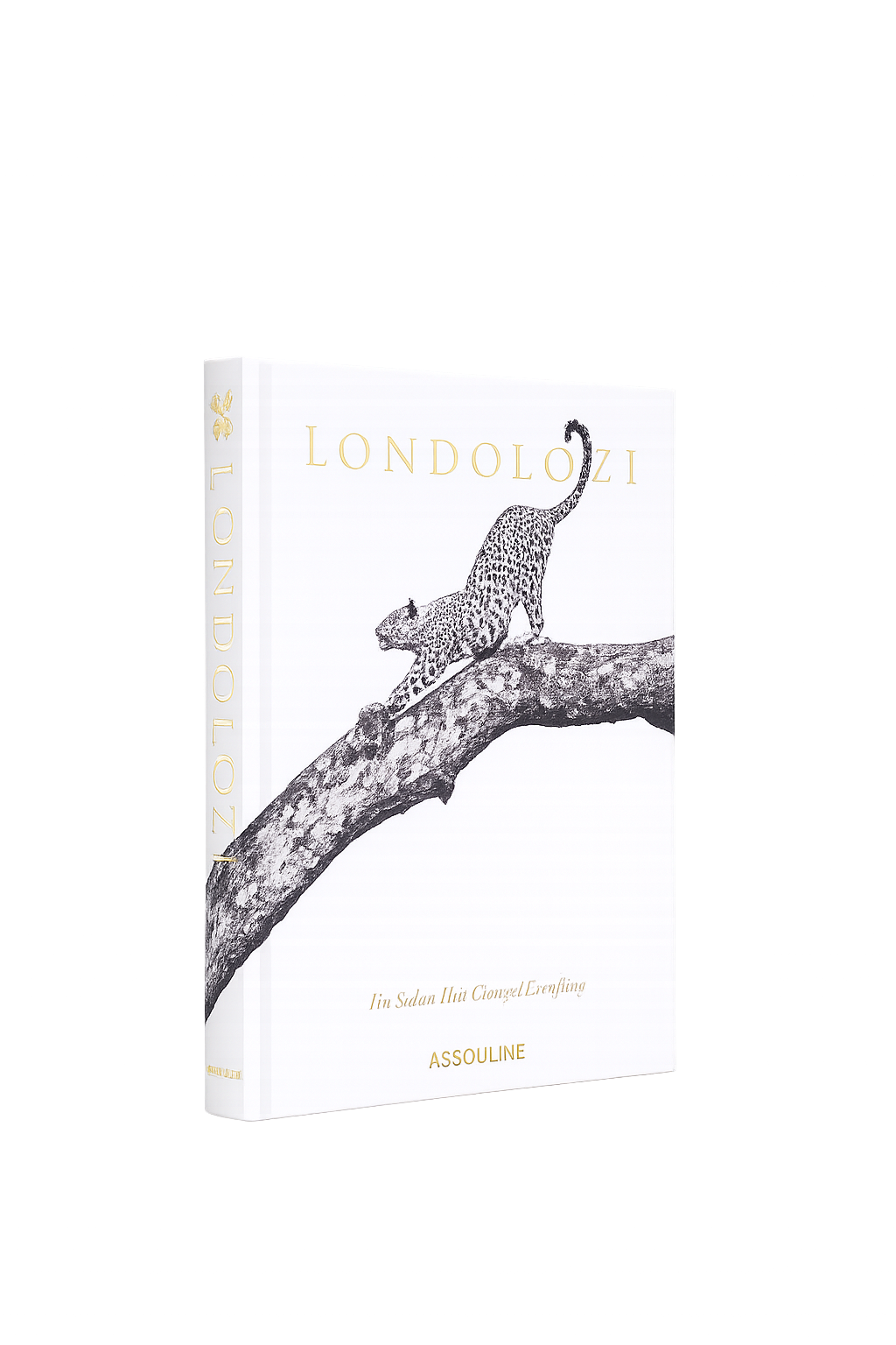 Londolozi: The Safari that Changed Everything
