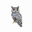 Brooch Southern White Faced Owl