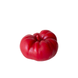 Heirloom Tomato Beeswax Candle