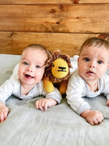 Stuffed Lion Toy