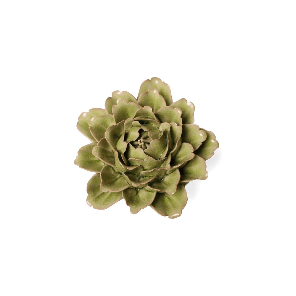 Mint Tree Peony