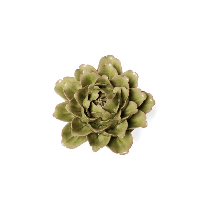 Mint Tree Peony
