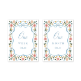 Baby Milestone Cards Cottagecore Floral