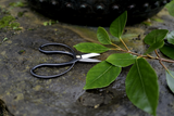 Higurashi Scissors