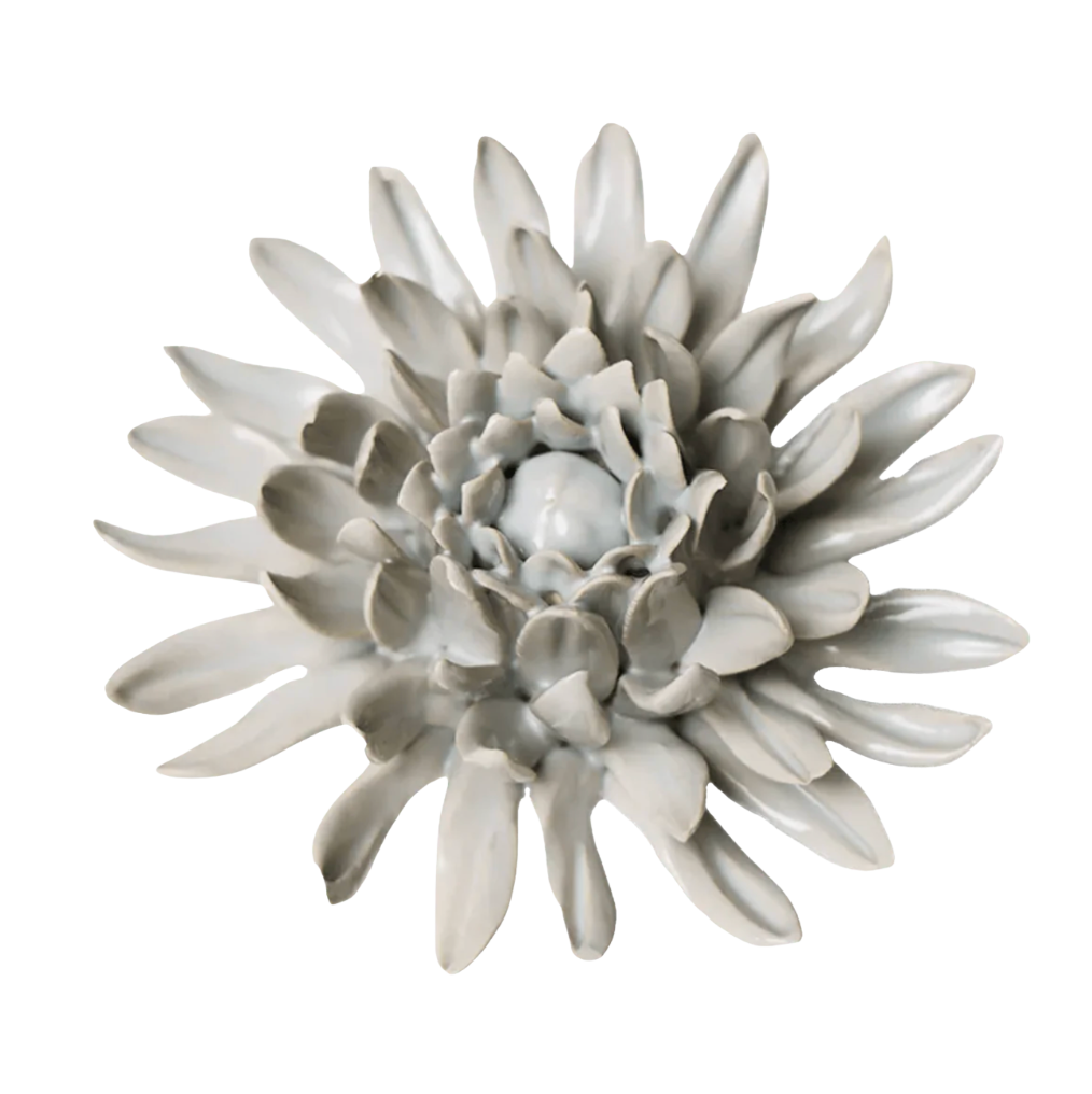 Mint Green Spider Mum