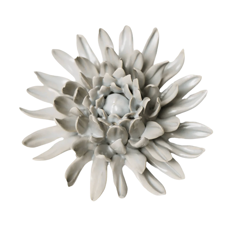 Mint Green Spider Mum