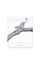 Londolozi: The Safari that Changed Everything