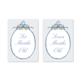 Baby Milestone Cards Joie