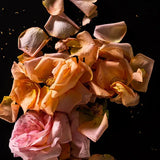 Rosas Frescas Hand Wash
