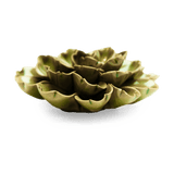 Olive Petunia